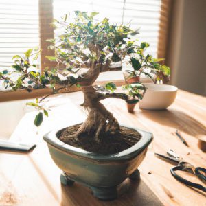 Ile kosztuje prawdziwe drzewko bonsai?